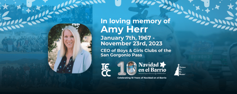 In Loving Memory of Amy Herr 